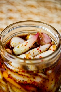 Pickled wild leeks with a 'ZING' - Anything Wild