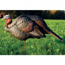 DSD turkey decoys - Turkey hunting