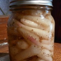 Easy but great pickled leek recipe - Anything Wild