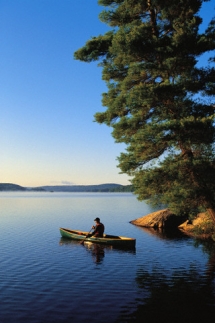 Algonquin Park - Places ive travelled 