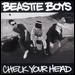 Beastie Boys  - Music my 2ed love 