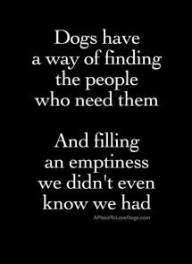 Dog quote - Inspiring & motivating quotes