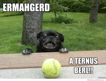 Ermahgerd! - I busted my gut laughing