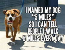Funny dog naming idea - Funny