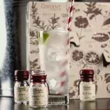 Gin Advent Calendar - Christmas Gift Ideas