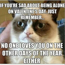 Grumpy Cat - Valentines Day - Now that is funny