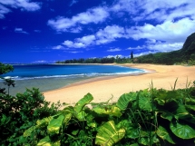 Hawaii - I will travel there