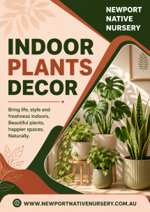 Indoor Plants Decor Ideas for a Fresh and Stylish Home - Native Nursery