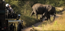 Lion Sands Game Reserve in South Africa - Travel & Vacation Ideas