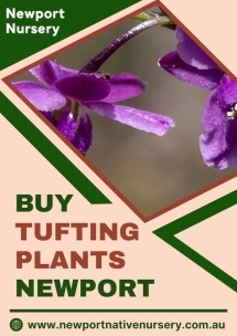 Newport Native Nursery - Native Nursery