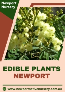 Newport Native Nursery - Native Nursery