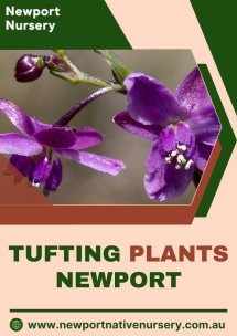 Newport Native Nursery - Native Nursery