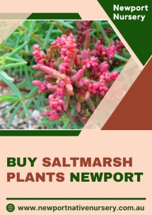 Newport Native Nursery - Native Nursery