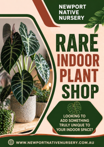 Newport Native Nursery - Native Nursery