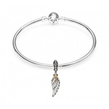  Pandora Love & Guidance Complete Bangle  - Jewelry