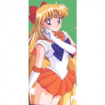 Sailor Moon Aino Minako Sailor Venus Long Cosplay Wig - Sailor Moon Cosplay Costumes
