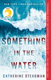 Something in the Water by Catherine Steadman - Novels to Read