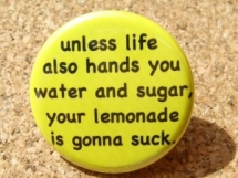 Terrible Lemonade - Funny Things