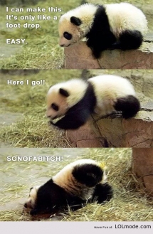Too Cute - I busted my gut laughing