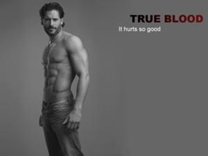 Alcide from True Blood 