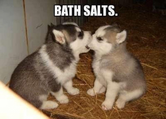Bath Salts makes you do crazy things