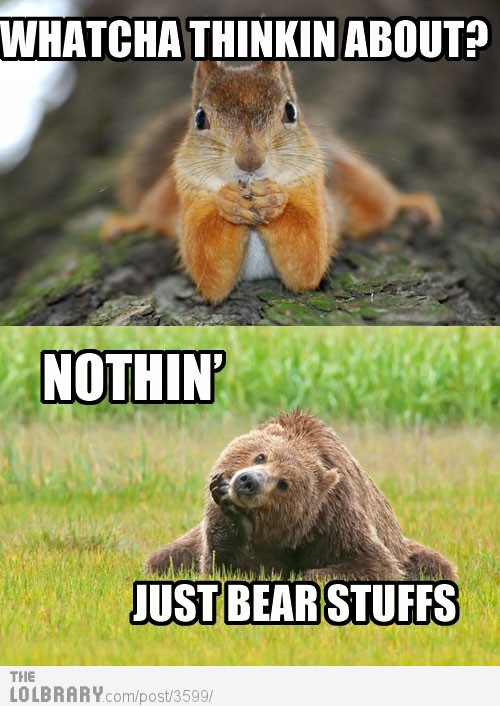Bear Stuffs