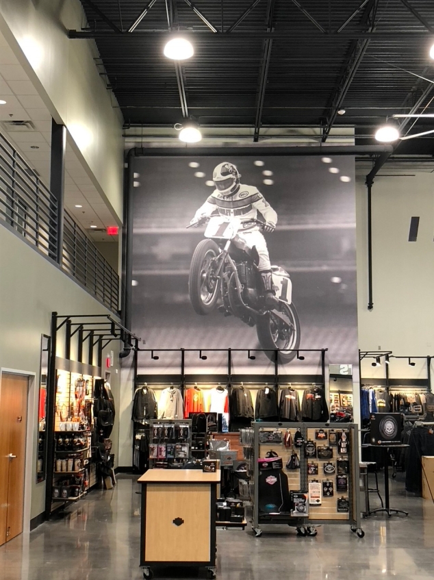 Discover the Beauty of Wall Murals in Dallas - Image 2
