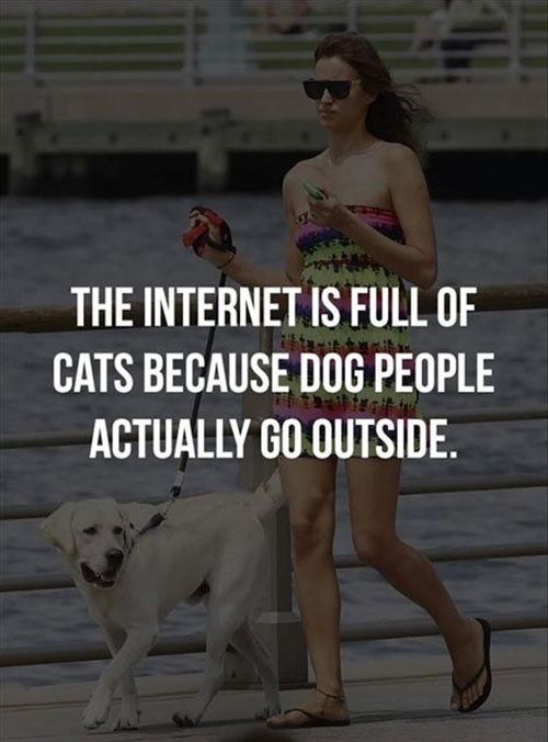 Dog people actually go outside