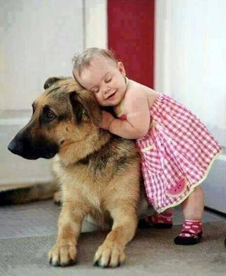 German Shepard with a little girl