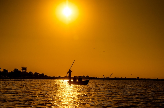 Golden Hour by Dushyant Patel