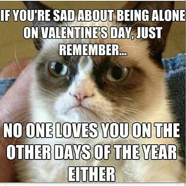 Grumpy Cat - Valentines Day