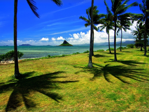 Hawaii - Image 2