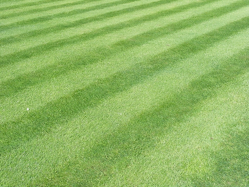 How to put stripes in your lawn when you cut the grass