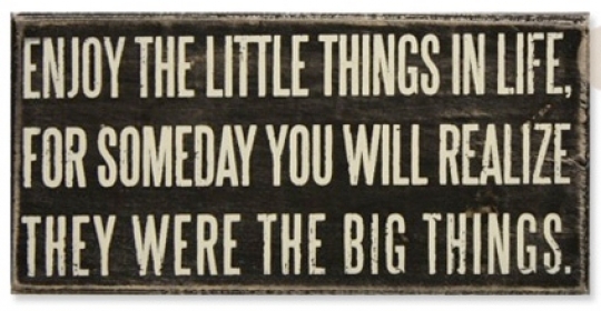 Enjoy the litle things in life, for someday you will realize they were the big things.