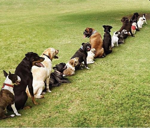 Who's holding up the line?