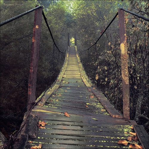 Bridge