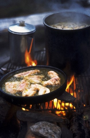 Fish cooking over campfire