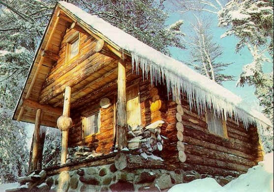 Small Log Cabin in the Woods
