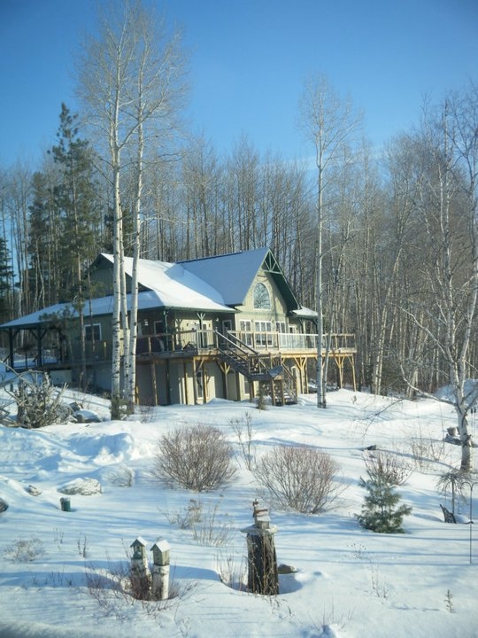 Temagami Viceroy