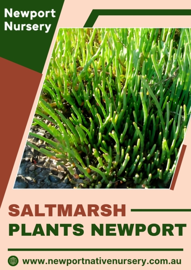 Newport Native Nursery
