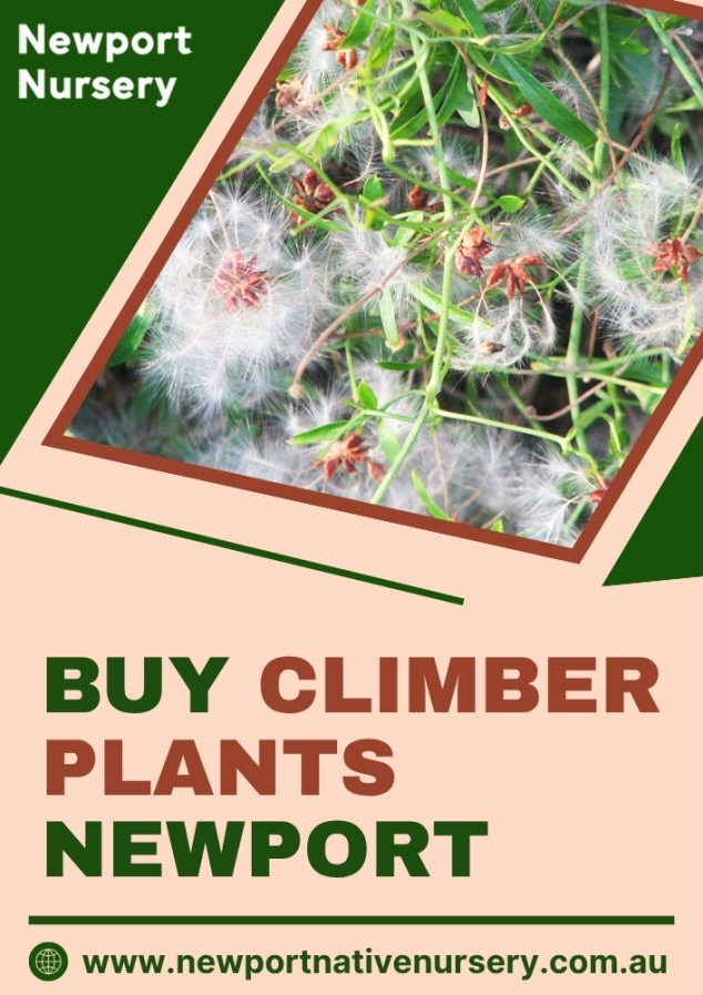 Newport Native Nursery