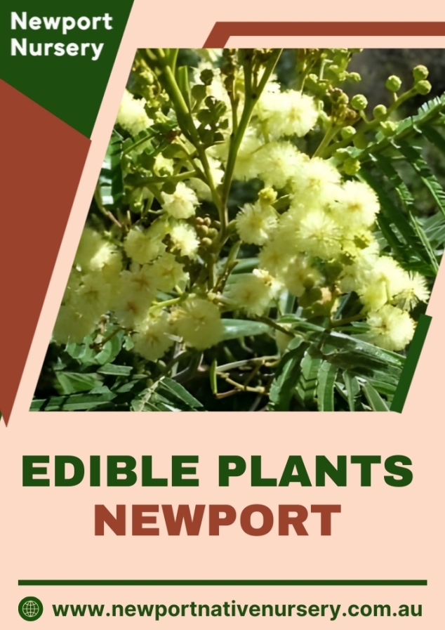 Newport Native Nursery