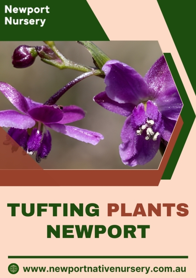 Newport Native Nursery
