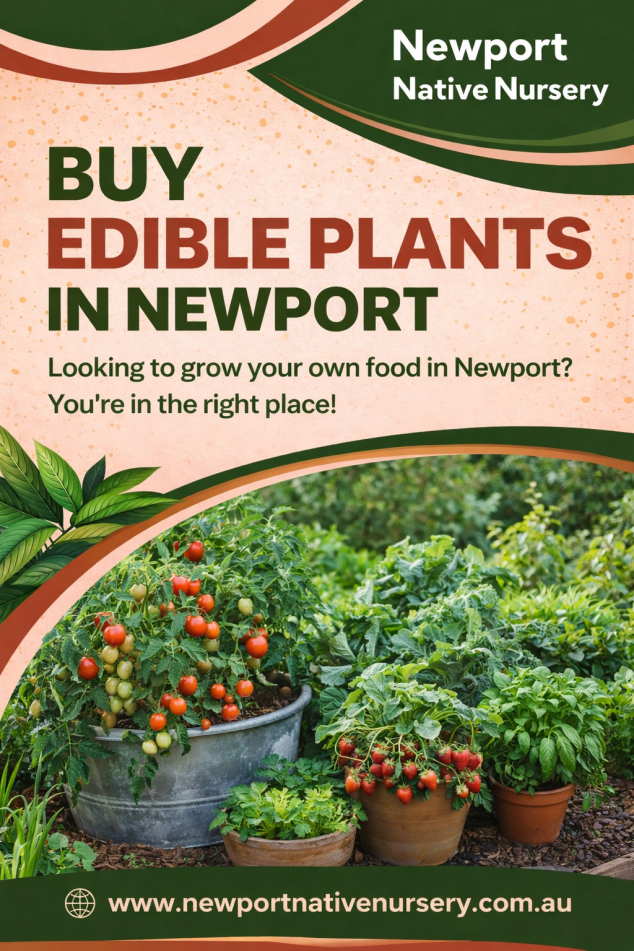 Newport Native Nursery