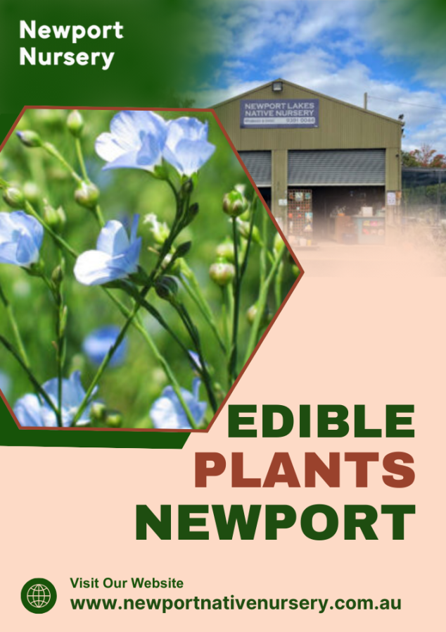 Newport Native Nursery