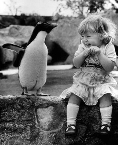 Penguin & Little Girl