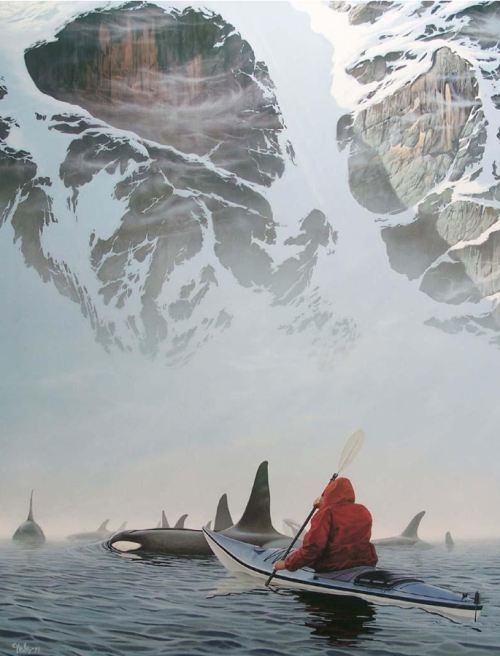 Sea kayaking with killer whales 