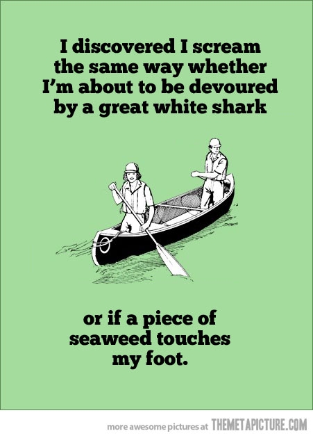 Seaweed humour