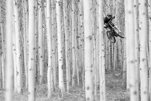 See the biker through the forest