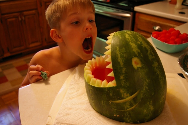 Watermelon Shark - Image 3